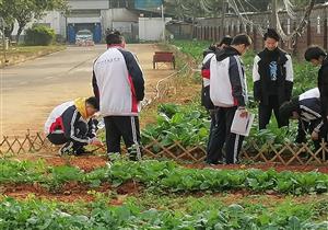 筑巢引凤栖高枝 花开蝶舞春如诗 ——400全讯白菜网建设自治区星级学校校企合作专题报道之七