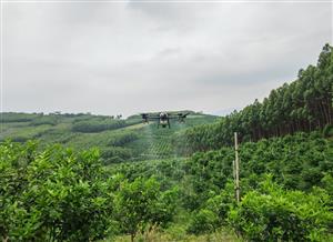 交校无人机飞进水头村，职业教育助力乡村振兴